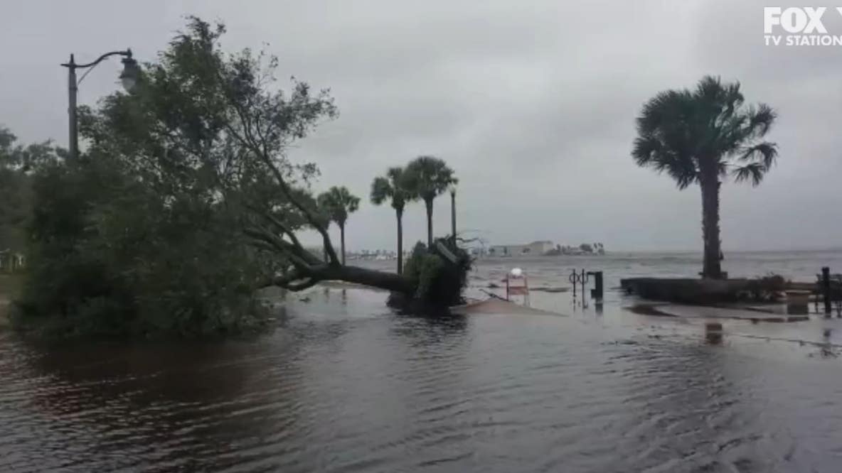Tropical Storm Nicole topples trees, floods downtown Sanford